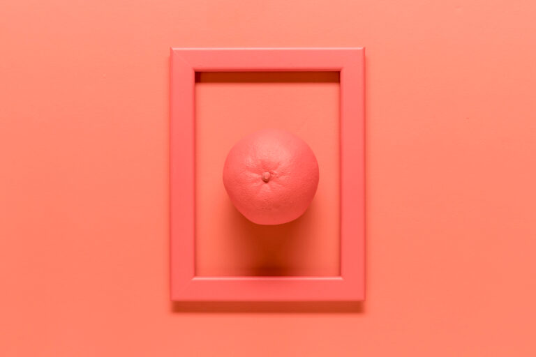 an orange centred within a square frame against a monochrome background