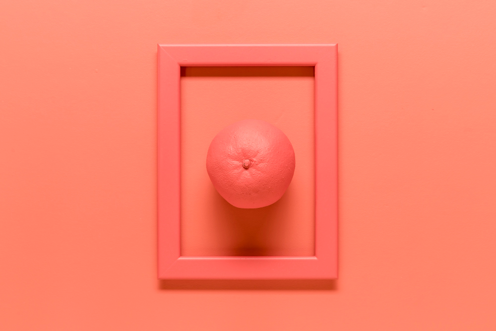 an orange centred within a square frame against a monochrome background